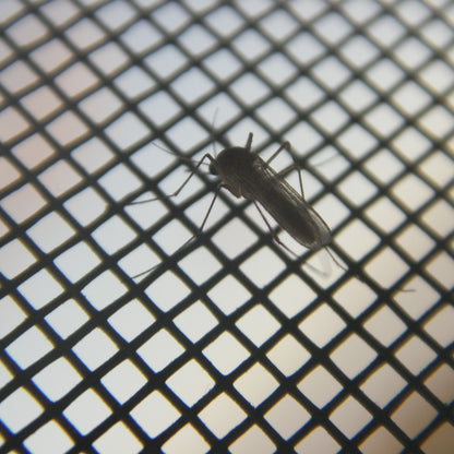 Magnetisk myggenet mod insekter